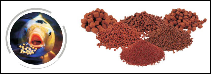 Hasil produksi mesin pakan ikan